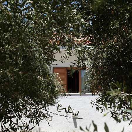 Villa Aelia Kámpos エクステリア 写真